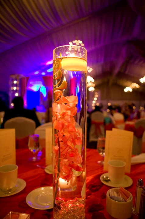 cylinder vases middot; tall glass tall glass vases. cylinder vases middot; tall glass