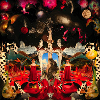 Rewild_600_medium