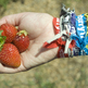 Wristbands1_small