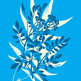 Safariparty_artwork_naive_small