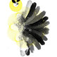 Rainbowfeathers_artwork_small