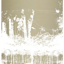 300-3_medium