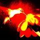 Hummingbird_1_small