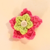 Bailey Lily Clip