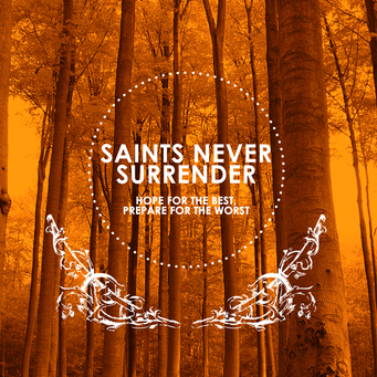 Sns_cover_large