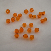 Dscn1246_medium