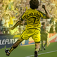 Schelotto_jump_small