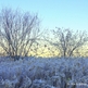 Wm_-_frosty_sunrise_small